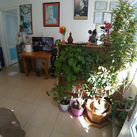 Beyaz 홈스테이 Çeşme