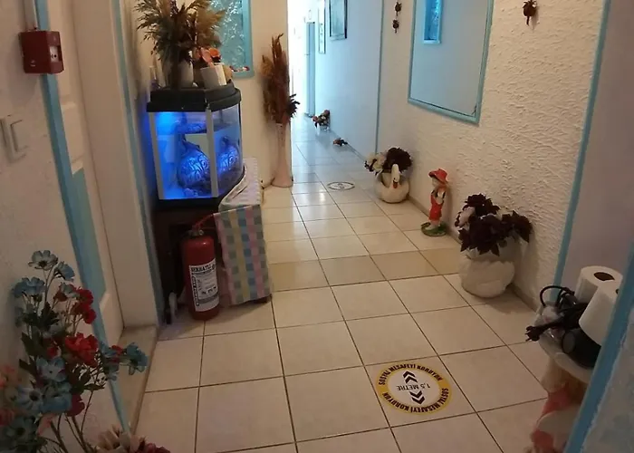 Gazde/Camere de închiriat Beyaz