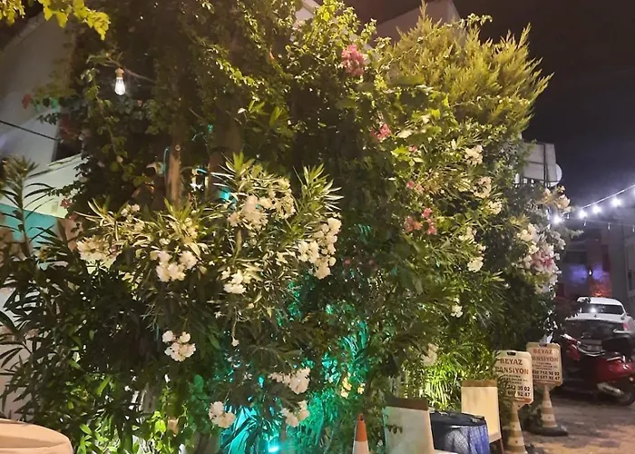 Beyaz Gazde/Camere de închiriat Çeşme