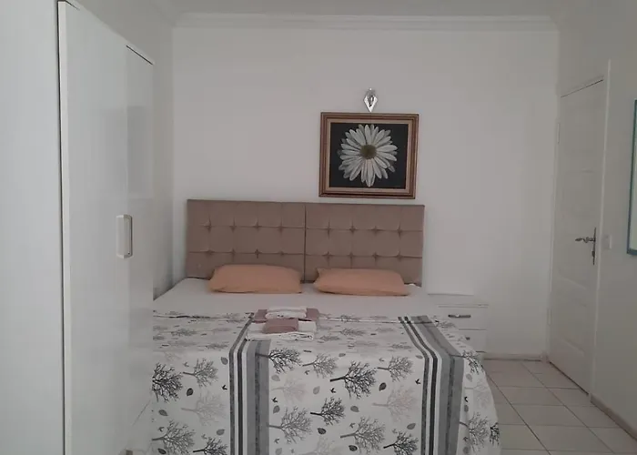 Gazde/Camere de închiriat Beyaz *