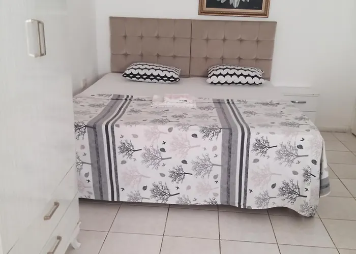 Beyaz Проживание в семье